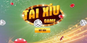 Các lưu ý quan trọng khi chơi cửa cược tài xỉu